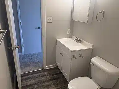 Compact bathroom with a white sink vanity, toilet, and towel ring. Gray walls and wood-look flooring. Doorway leads to a carpeted area.
