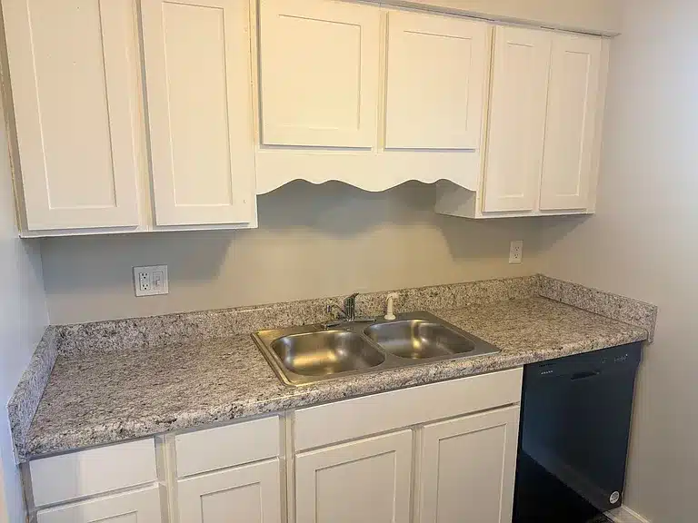 Kitchen with white cabinets, granite countertop, double stainless steel sink, and a black dishwasher below.